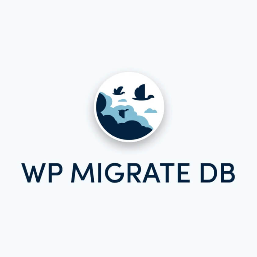 WP Migrate DB